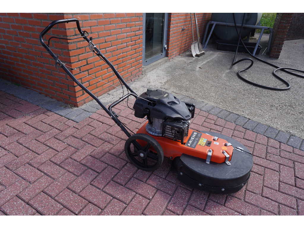    55118094-0.jpg | LSN Lease